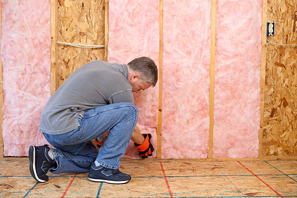 Best Wall Insulation Installation  in Archdale, NC